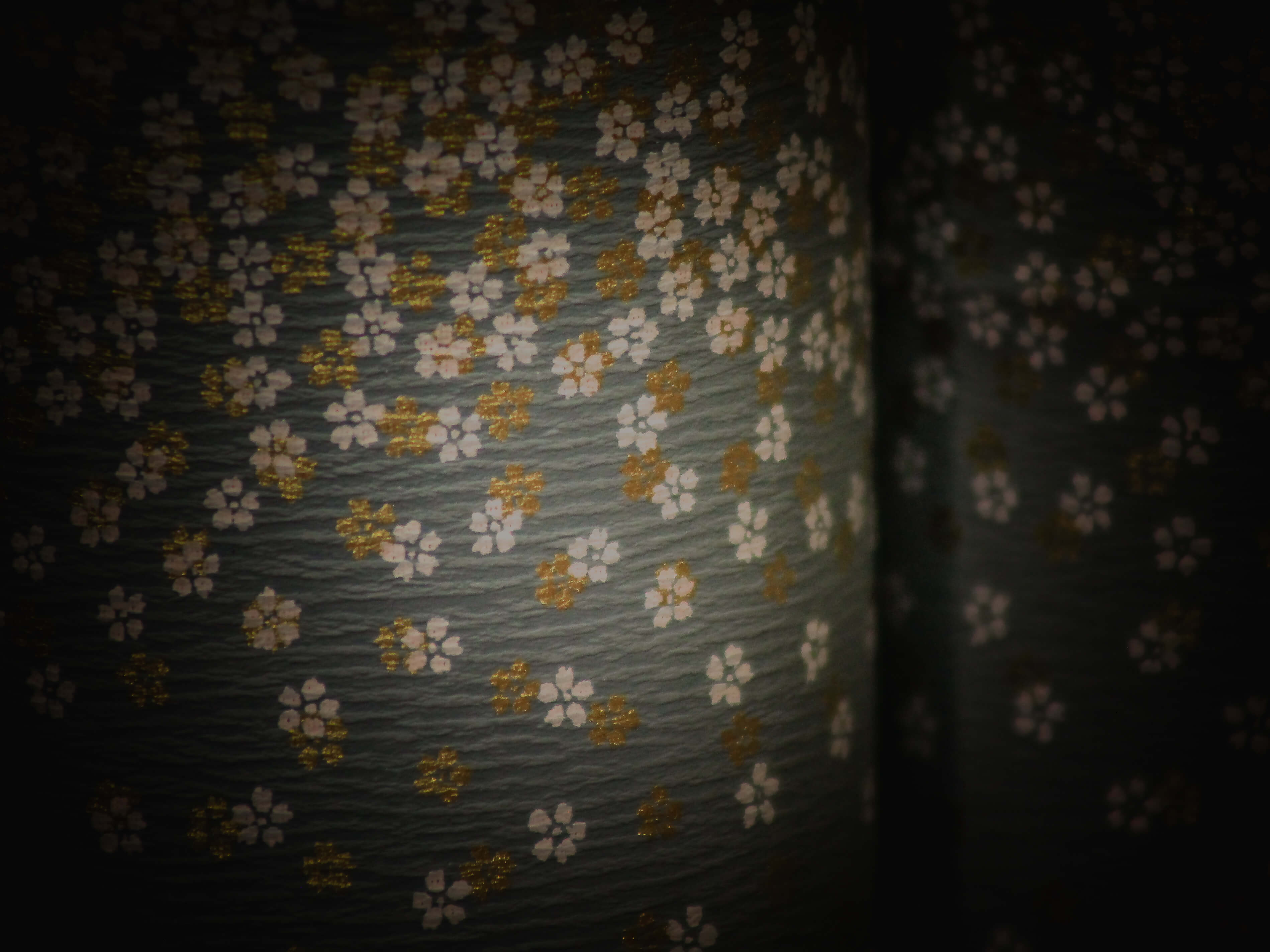 Amaya paysage détail