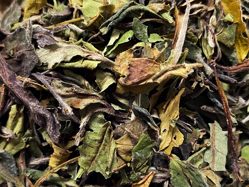 BN-21002-PHOTOPAYSAGE - Réseaux.JPG