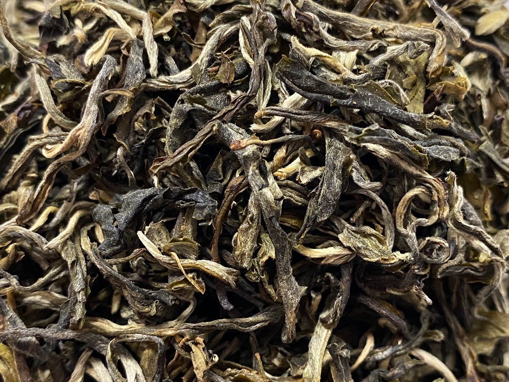 BN-21005-PHOTOPAYSAGE - Réseaux.JPG