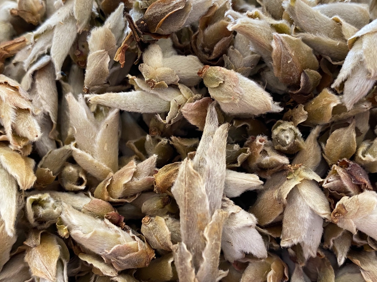 BUD YA BAO-PHOTOPAYSAGE - Réseaux.JPG