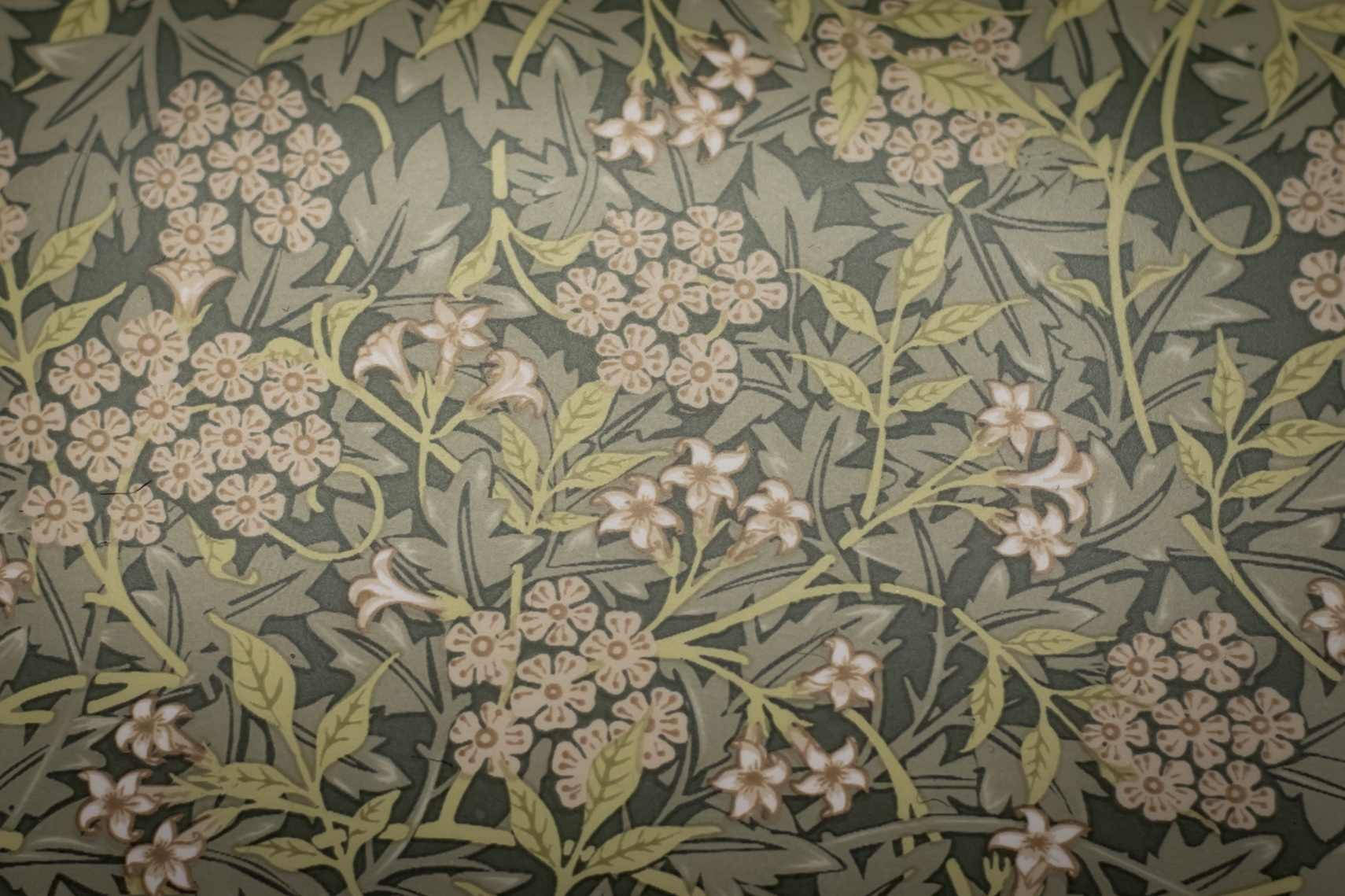 Décor Jasmine - Réseaux