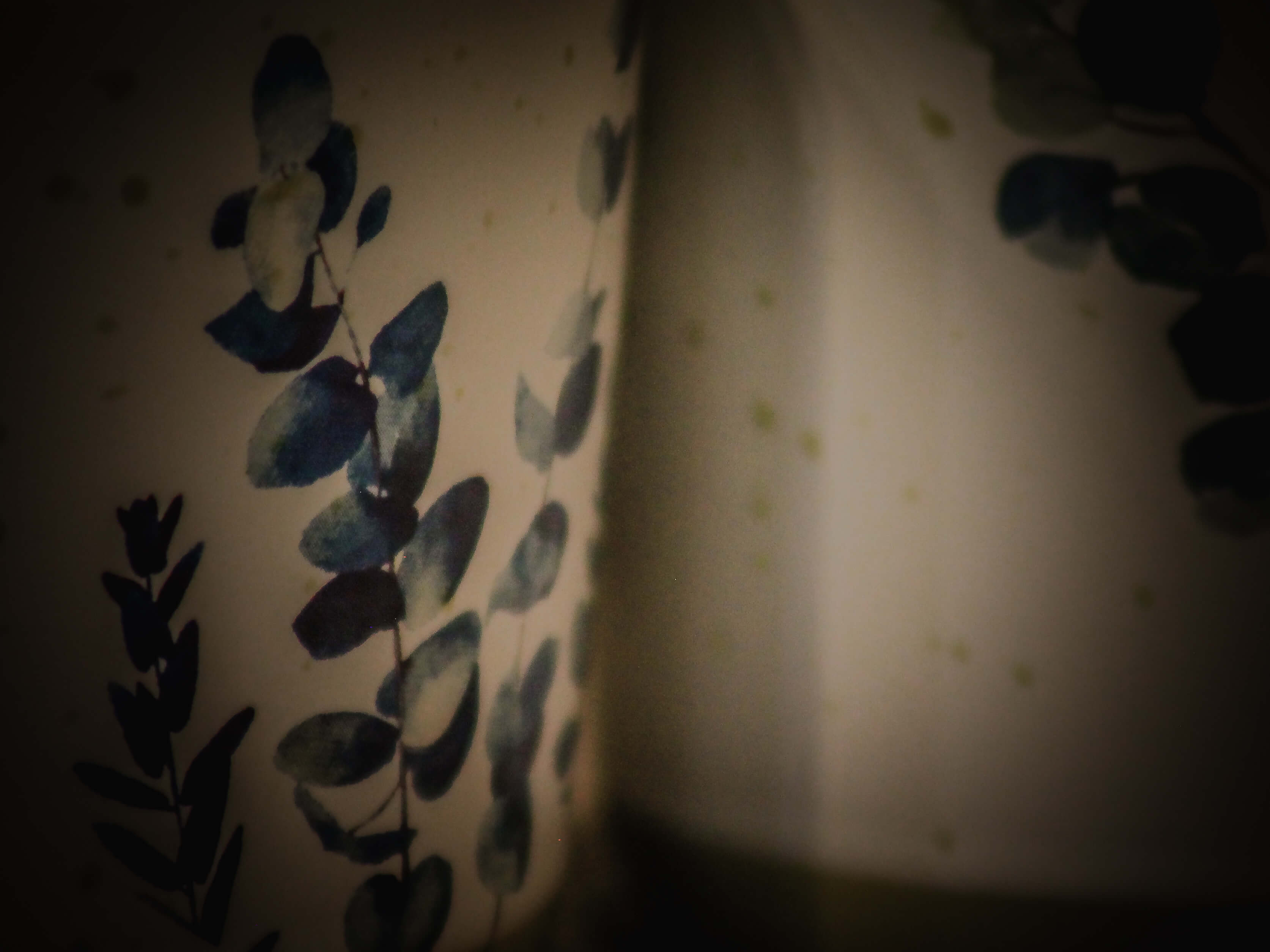 Deike paysage détail