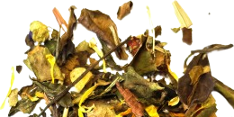 Eclat Floral listing final