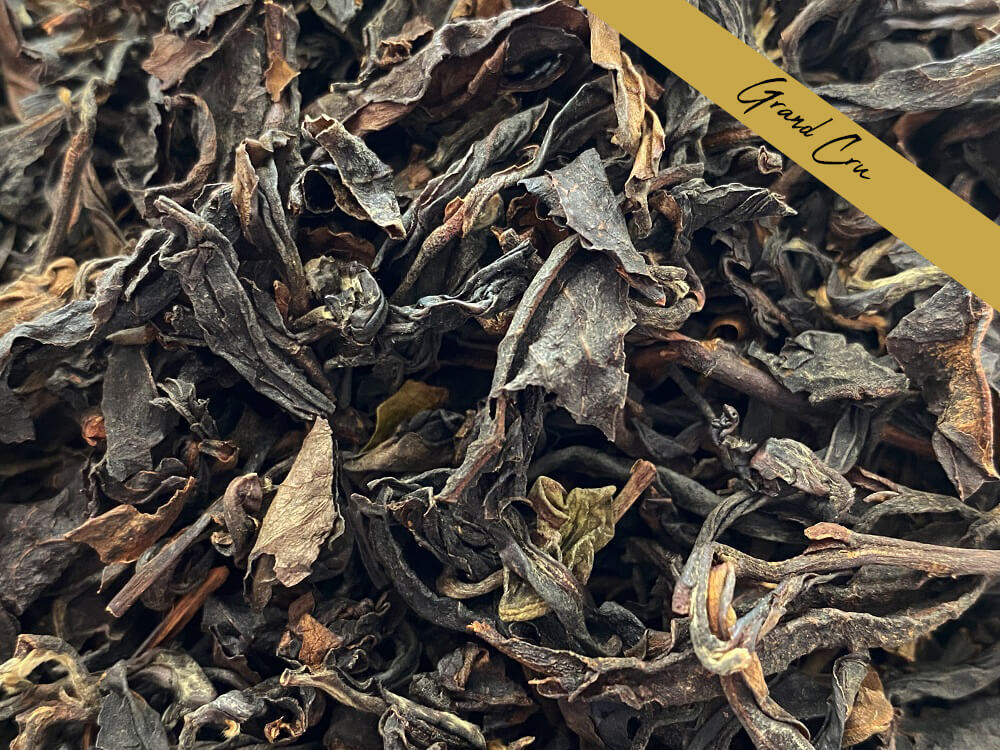 FORMOSA BUTTERFLY-RESEAU.JPG