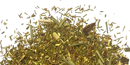 Giuseppina-listing-final