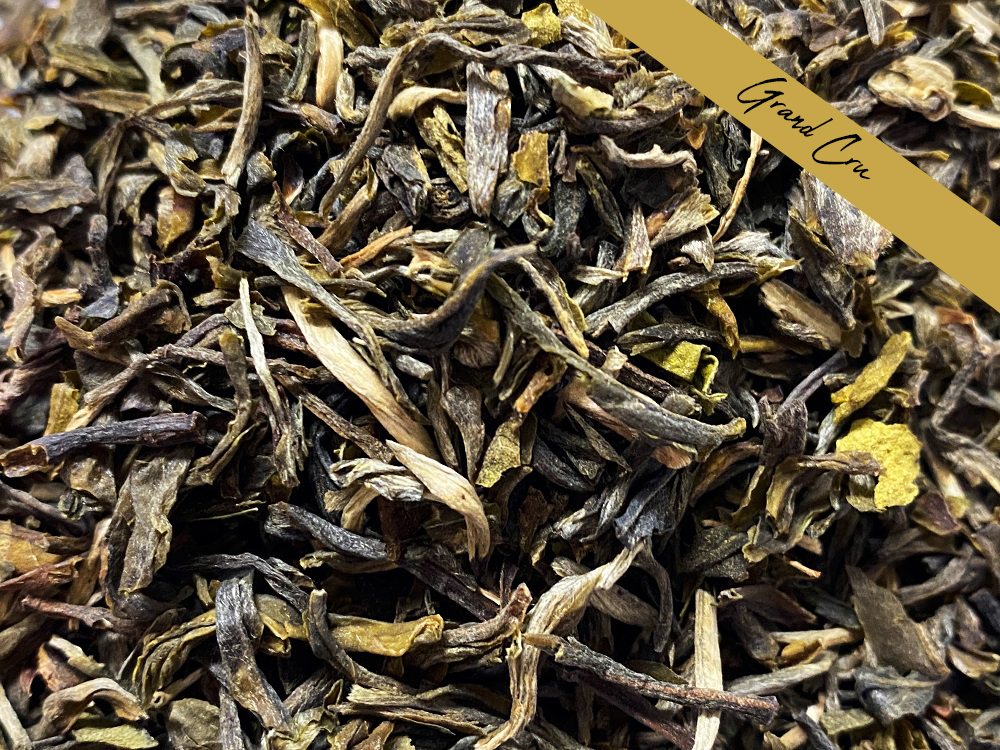 JN-23001-PHOTOPAYSAGE - Réseaux.JPG