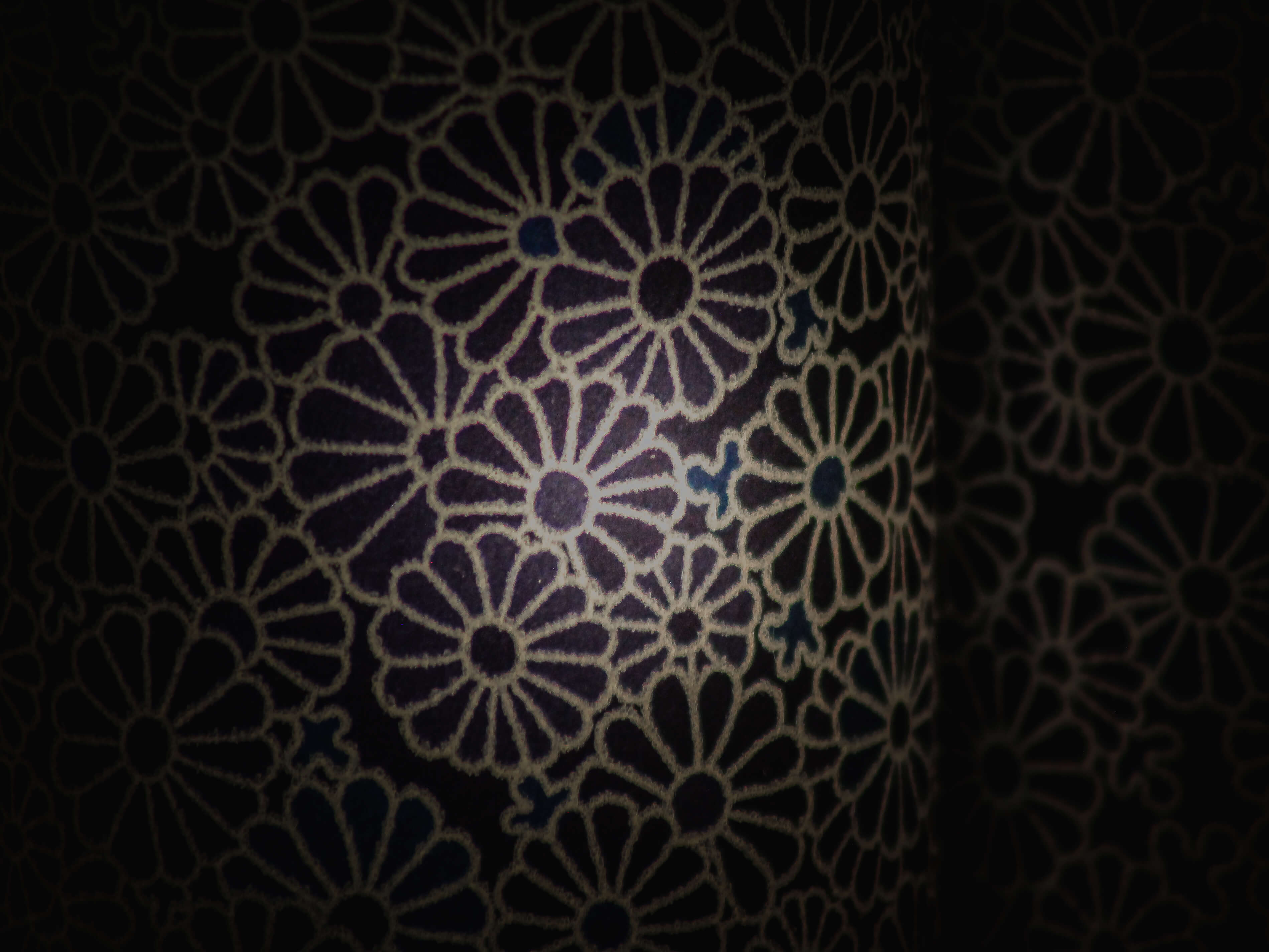 Lumi paysage détail