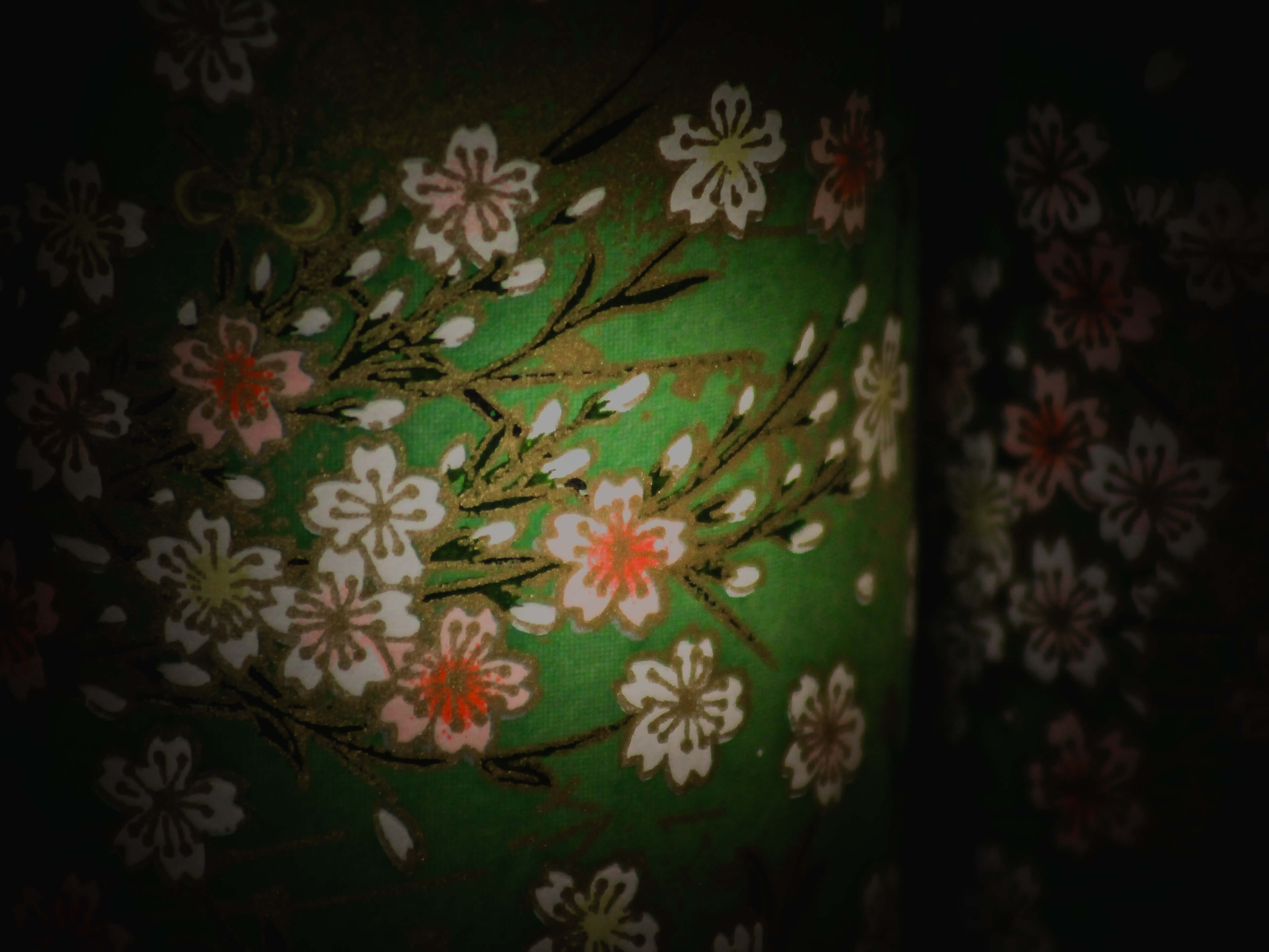 Masari paysage détail