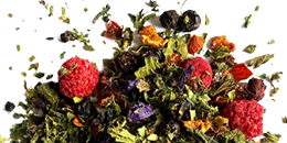 MUSÉECARNAC-listing