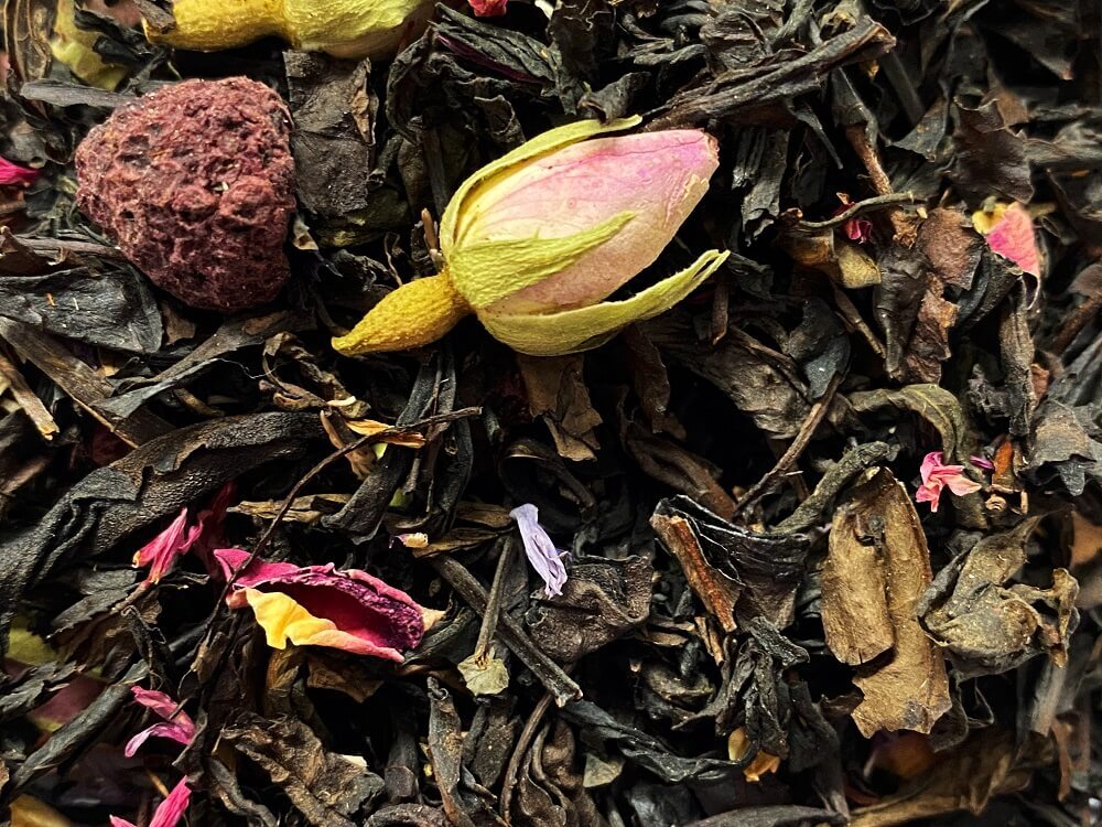 OA-21003-PHOTOPAYSAGE - Réseaux.JPG