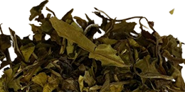 ON-24001-listing final