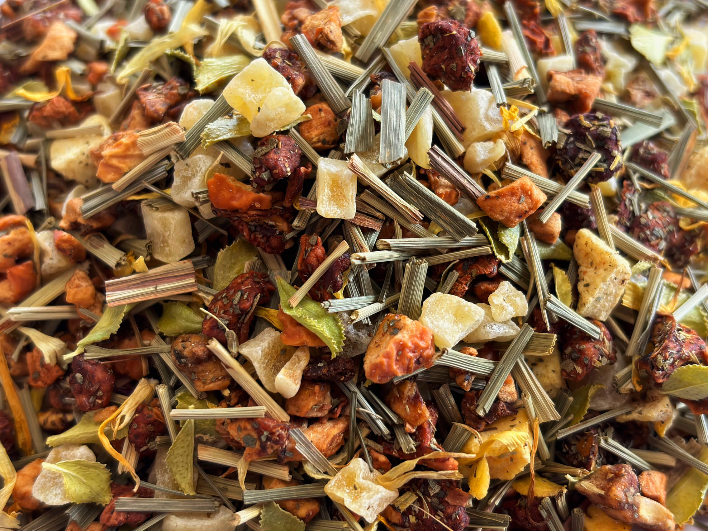 Passion Pêche paysage Réseaux