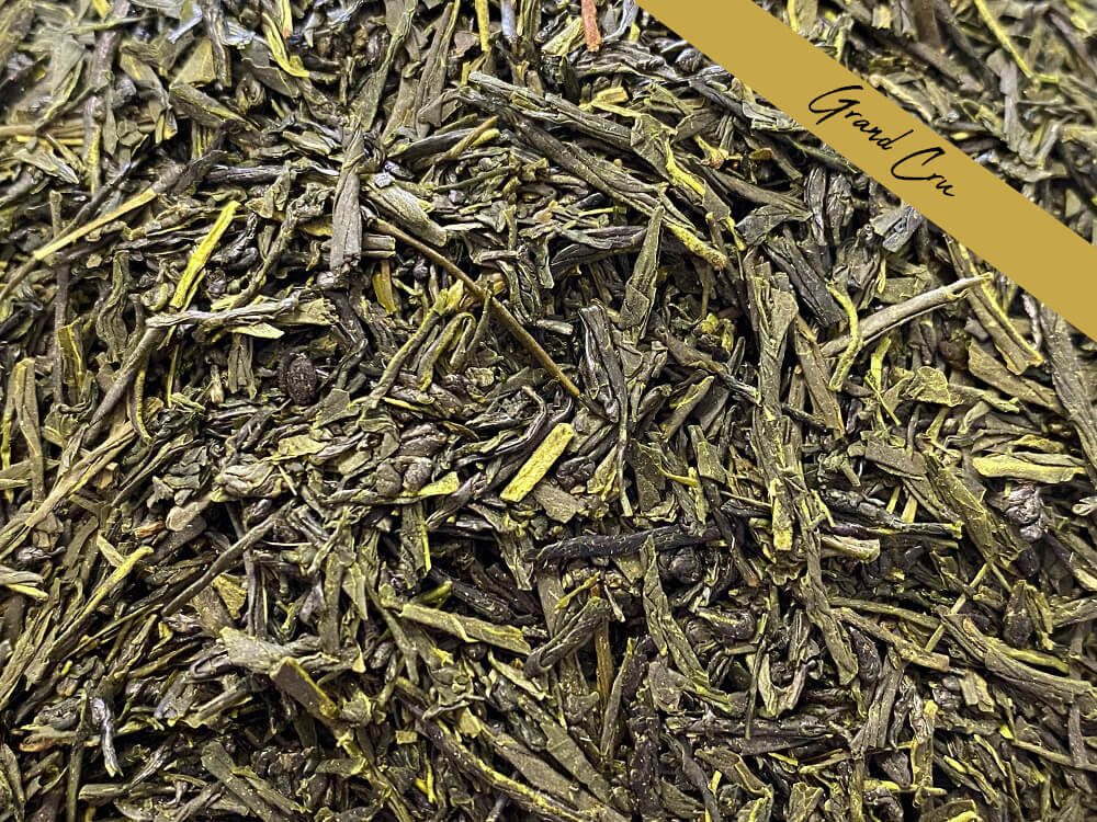 SENCHA FUJI-RESEAUX.JPG