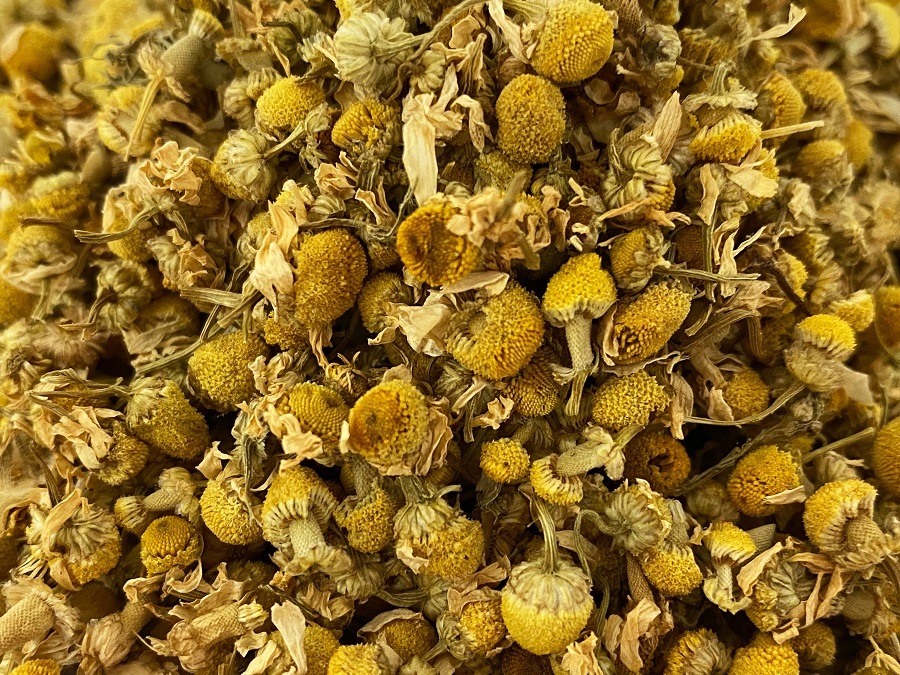 TN-21003-PHOTOPAYSAGE - Réseaux.JPG