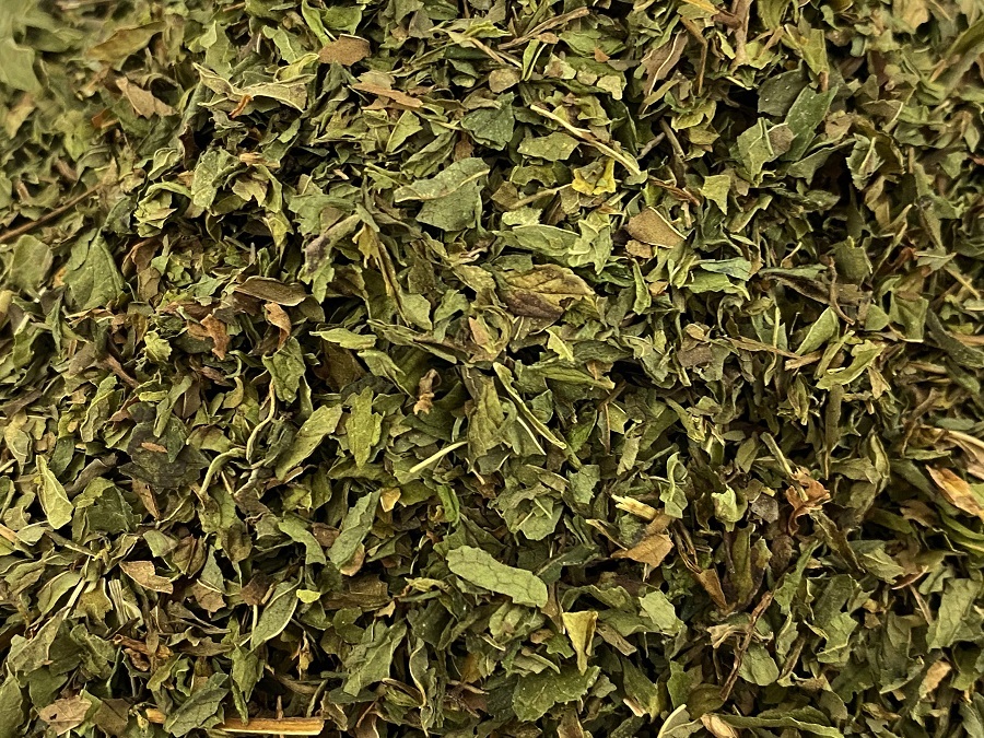 TN-21004-PHOTOPAYSAGE - Réseaux.JPG