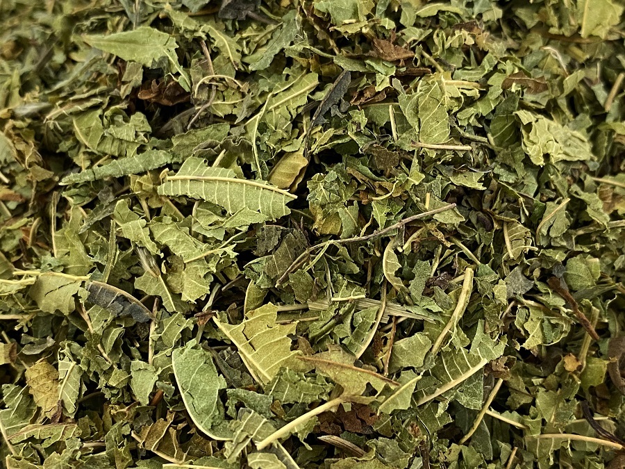 TN-21005-PHOTOPAYSAGE - Réseaux.JPG