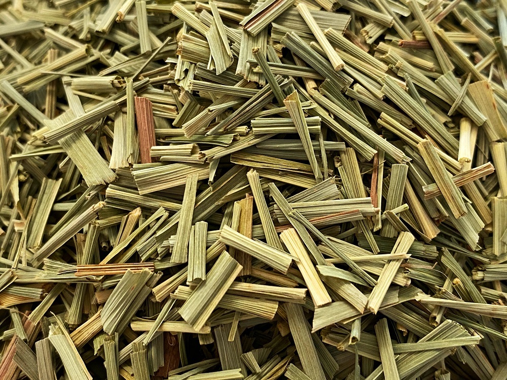 TN-21006-PHOTOPAYSAGE - Réseaux.JPG