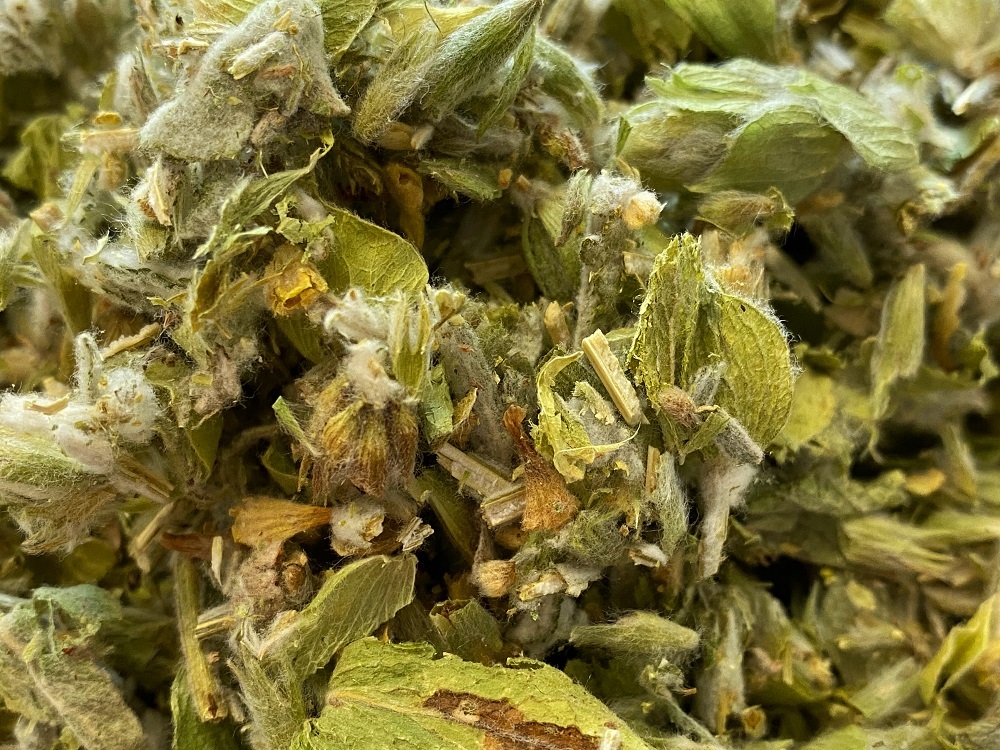 TN-22001-PHOTOPAYSAGE - Réseaux.JPG