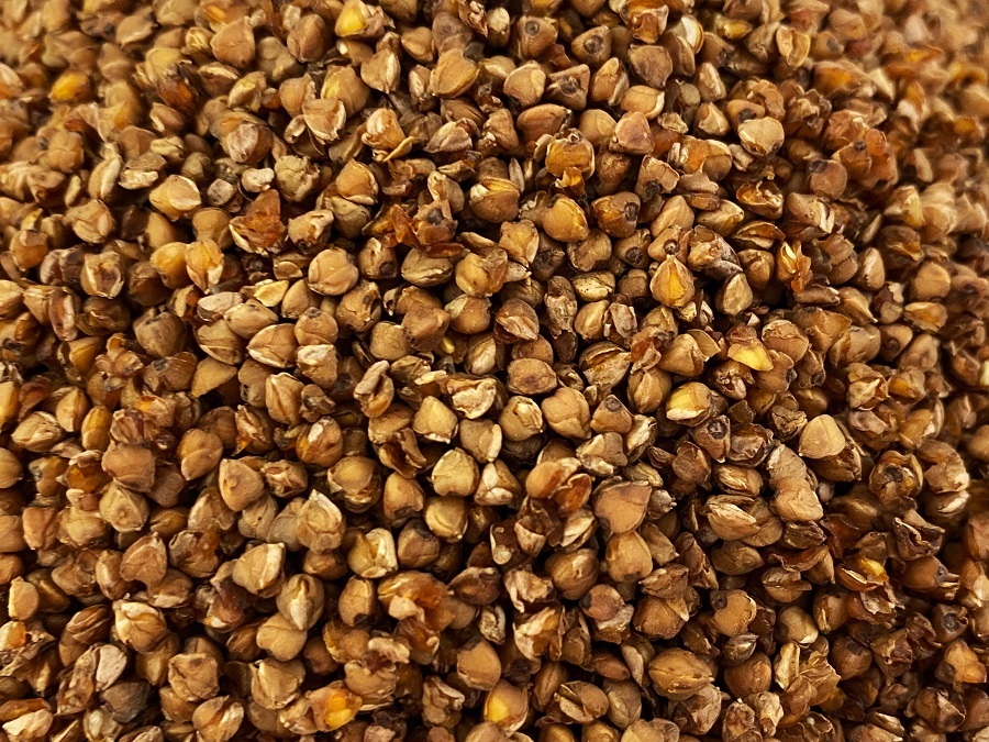 TN-22005-PHOTOPAYSAGE - Réseaux.JPG