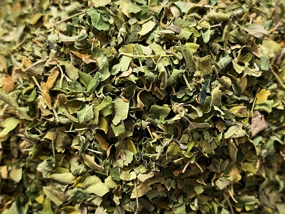 TN-23003-PHOTOPAYSAGE - Réseaux.JPG