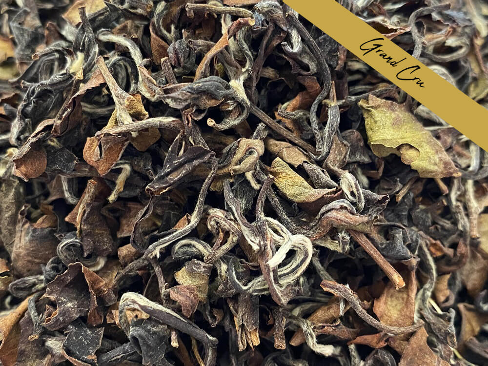 VIETNAM ORIENTAL BEAUTY-RESEAUX.JPG