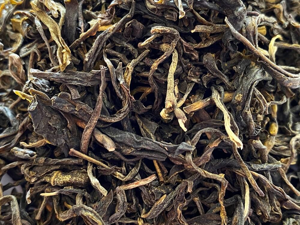 VN-21027-PHOTOPAYSAGE - Réseaux.JPG