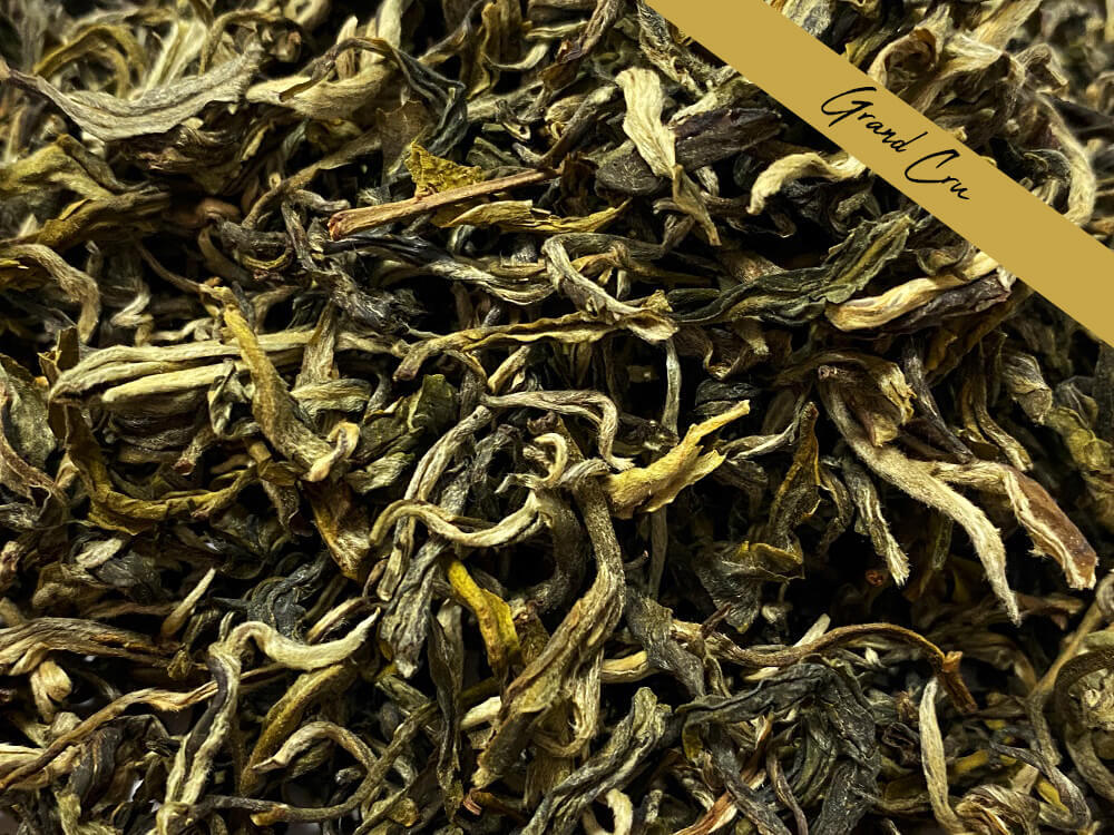 VN-23001.PHOTOPAYSAGE - Réseaux.JPG